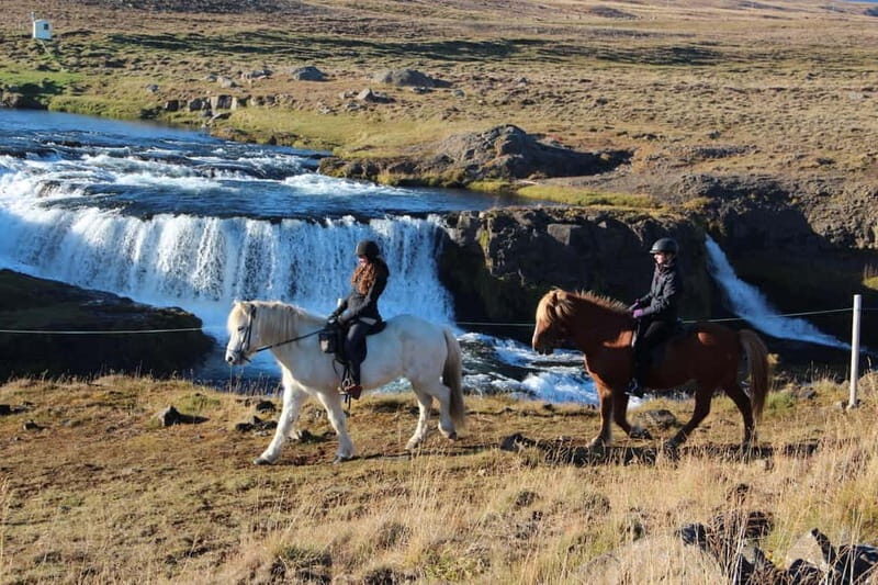 Varmahlid: Viking Horse Riding Tour - Final Thoughts: Is It Worth It?