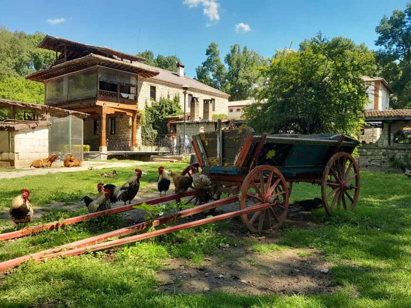 Varna: Guided VIP Tour - Key Points