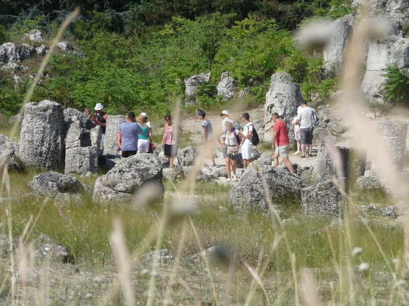 Varna: Guided VIP Tour - Who is This Tour Best For?