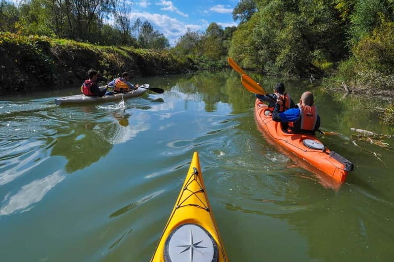 Varna: Kamchia River Kayaking Day Tour - Exploring the Kamchia River Kayaking Day Tour from Varna: A Complete Guide