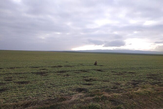 Vashlovani National Park Day Trip from Tbilisi - The Journey Begins