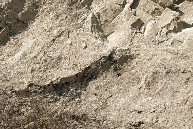 Vashlovani National Park Day Trip from Tbilisi - The Stops