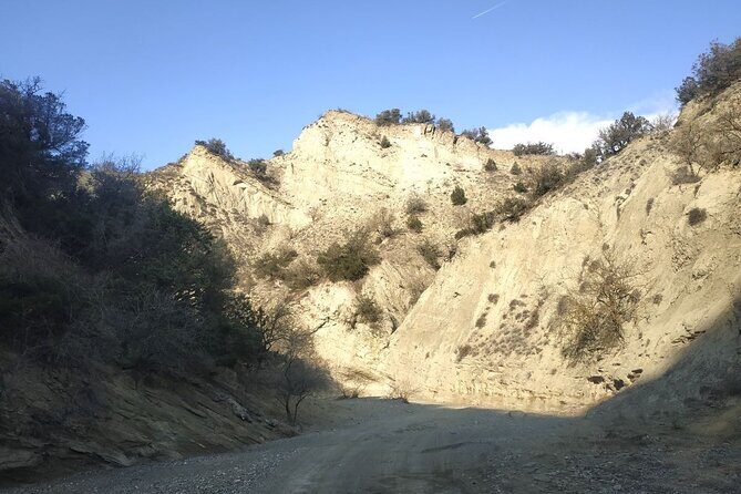 Vashlovani National Park Day Trip from Tbilisi - The Return