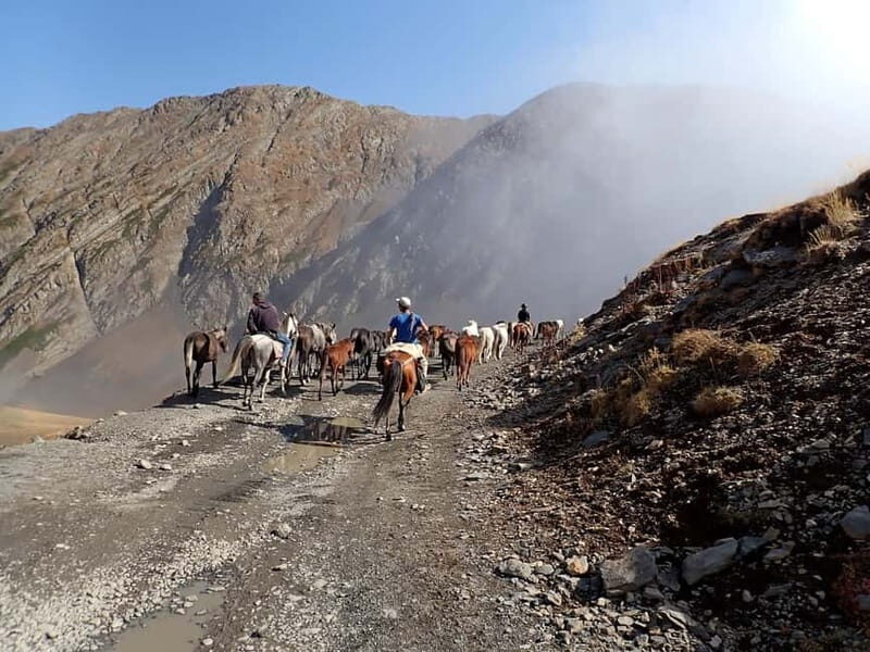 Vashlovani Nature Reserve: Horse Riding Tour - The Itinerary in Detail