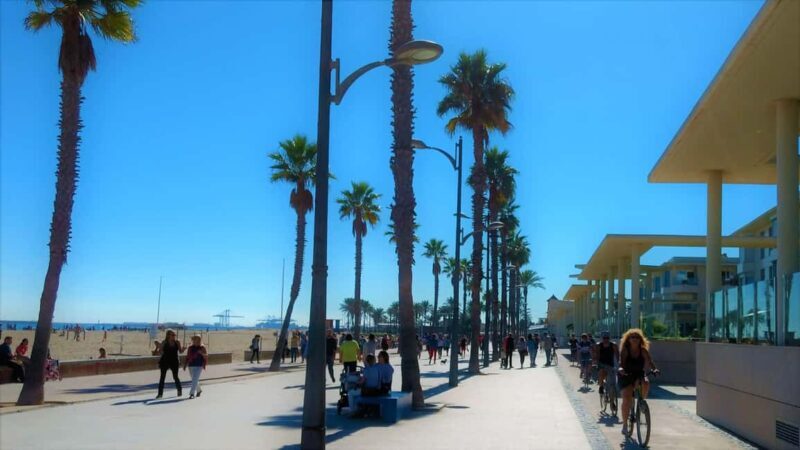 Vegan Bike Tour Albufera/Little Venice w/ Paella & Horchata - A Detailed Look at the Tour Experience