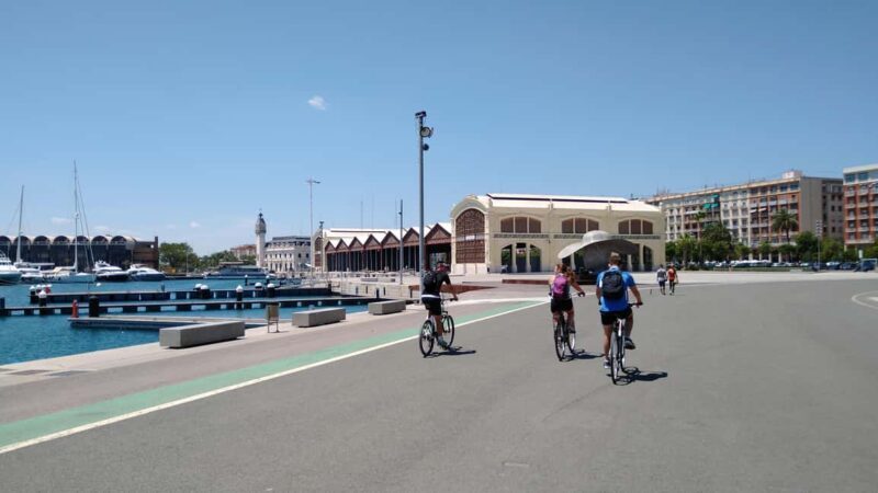 Vegan Bike Tour Albufera/Little Venice w/ Paella & Horchata - The Sum Up