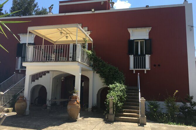 Vegan Charme: Typical Dinner with a Local in Monopoli - Key Points