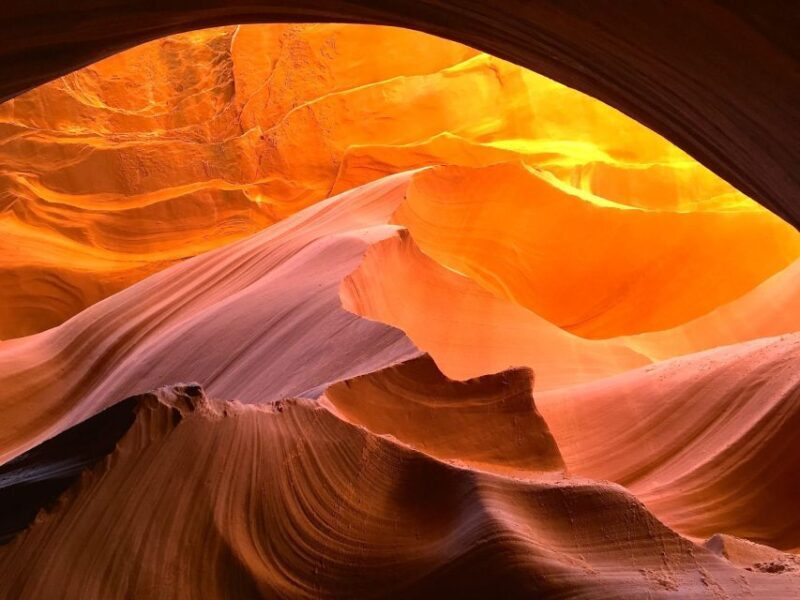 Vegas: Antelope Canyon, Grand Canyon, Zion & Horseshoe Bend - What Makes This Tour Stand Out