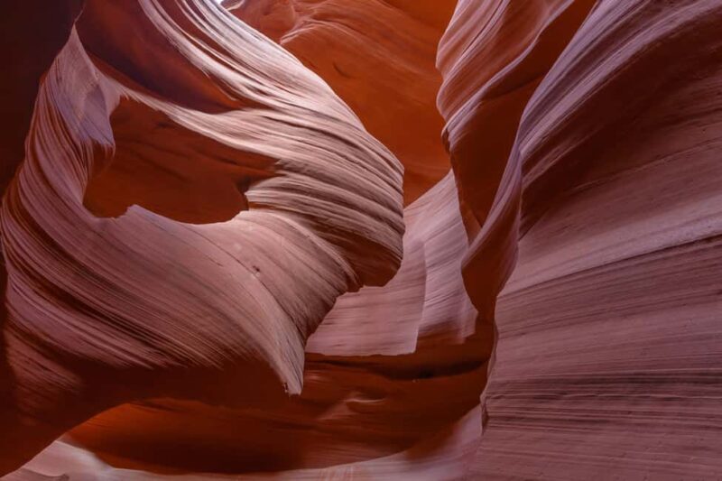 Vegas: Antelope Canyon & Horseshoe Bend VIP Small Group Tour - Who Is This Tour Best For?