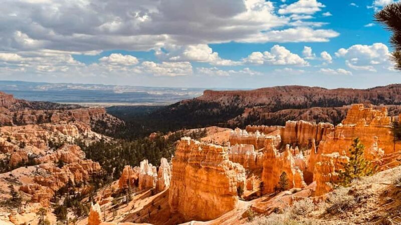 Vegas: Grand Canyon, Bryce & Zion: 3Park Experience - The Experience: Pros and Cons