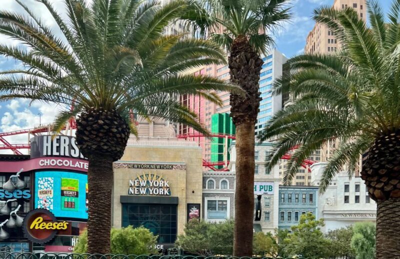 Vegas Highlights: Neon Lights & Desert - Audio Driving Tour - Practical Aspects and Ease of Use