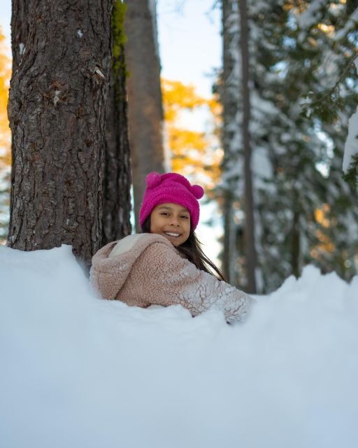 Vegas Winter Adventure: Mt. Charleston Snow Day - A Deep Dive into the Mt. Charleston Snow Day Tour