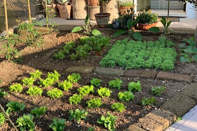 Vegetarian Dinner Cooking Class in Verona - FAQ