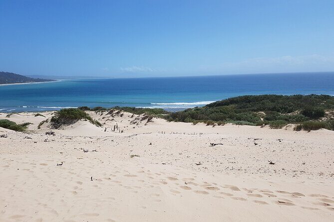 Vejer and Bologna Beach Rate Excursion from Cadiz - An In-Depth Look at the Tour Experience