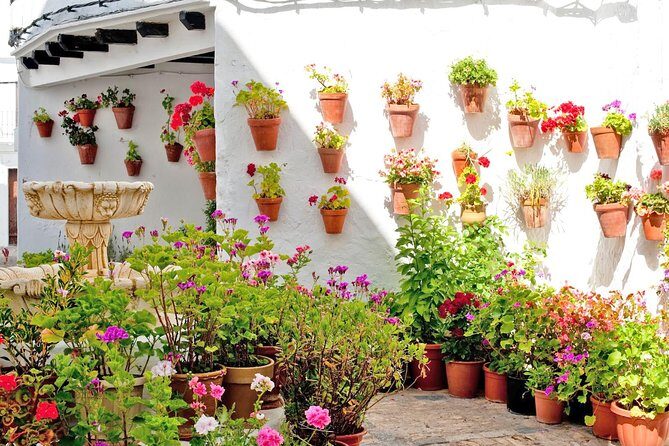 Vejer de la Frontera & Bolonia Beach Private Tour from Cadiz - Who Will Love This Tour?