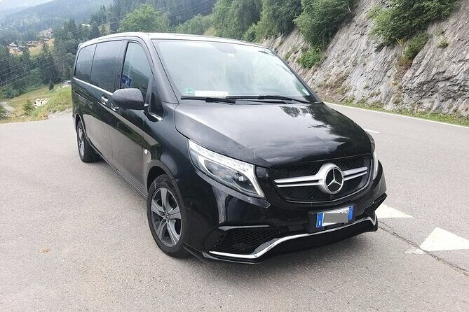 Venice Airport (VCE) to Venice, cruise port - Round-Trip Private Transfer - Pricing and Value