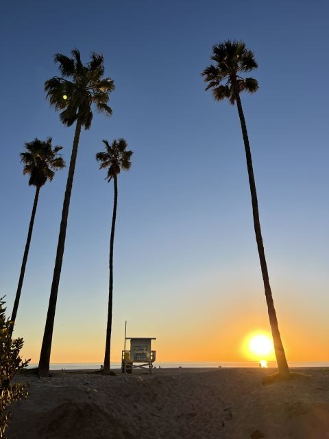 Venice Beach : French guided walking tour - Discovering Venice Beach: What’s Included and What to Expect