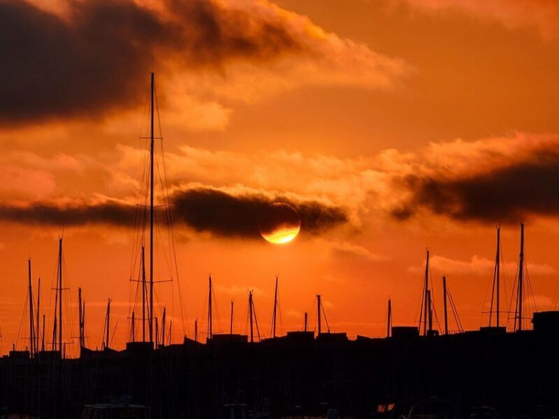 Venice Beach & Malibu View Boat Cruiser- Music Wine Sealions - An Authentic Look at the Experience