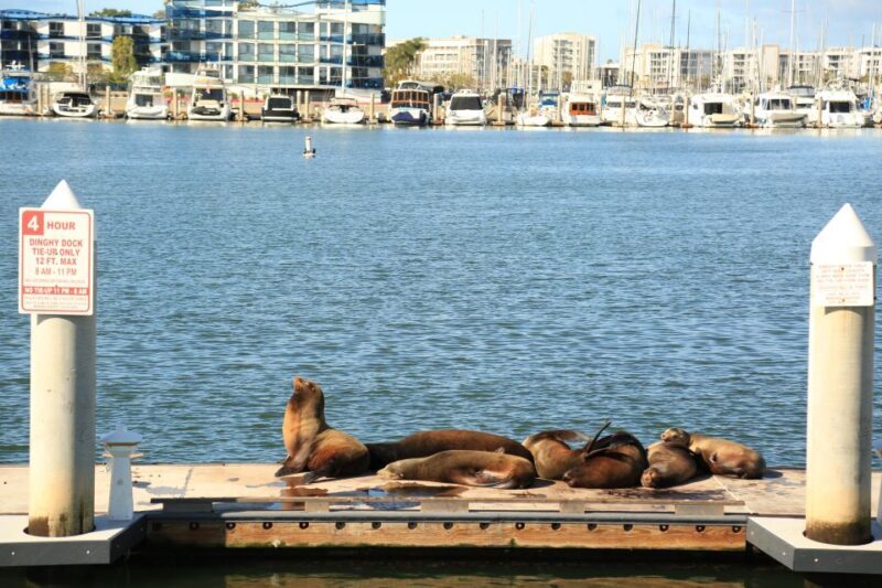 Venice California: Half Day Tour in Open Air Bus - The Bottom Line