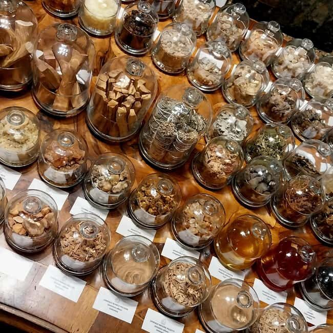 VENICE, FRANKINCENSE AND MYRRH! A JOURNEY ON AROMATICS TRADE - Frequently Asked Questions