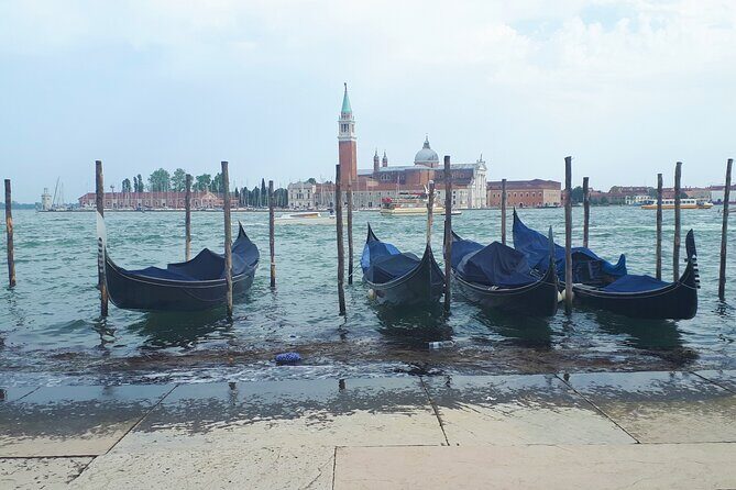 Venice Full-Day Guided Tour From Milan - Key Points