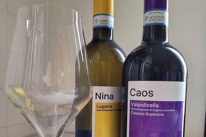 Venice like a local: Vini and Cichetti at Liuba and Hugo's home - The Sum Up