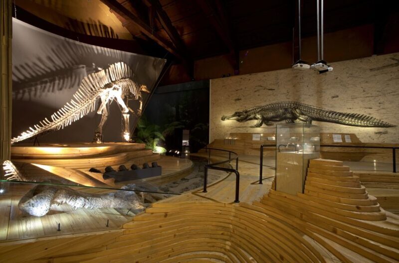 Venice: Natural History Museum Entry Ticket - The Sum Up: Is It Worth Visiting?