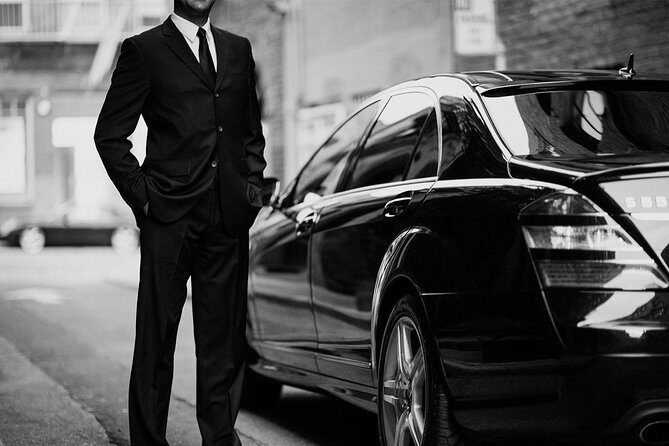 Venice Private Transfer (Hotel, Port, Venice or Treviso Airport, Mestre TrainSt) - Who Would Love This Service?