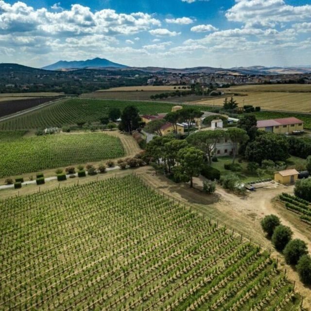 Venosa: Re Manfredi Winery Tour with Tastings - Venosa: Re Manfredi Winery Tour with Tastings — An Authentic Sip of Basilicata