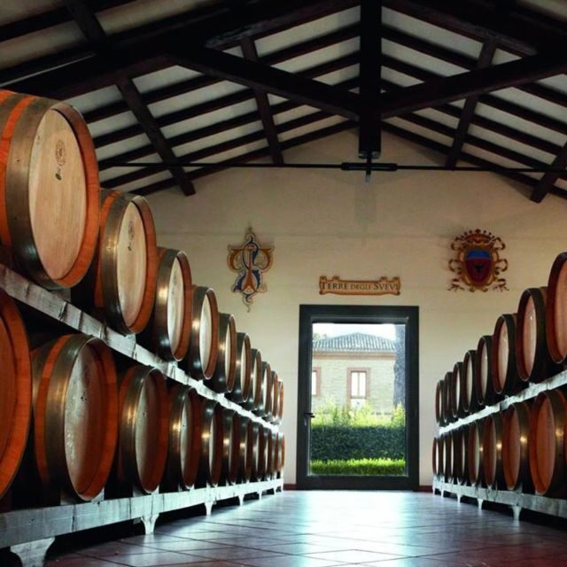 Venosa: Re Manfredi Winery Tour with Tastings - Exploring Venosa: A Hidden Gem for Wine Enthusiasts