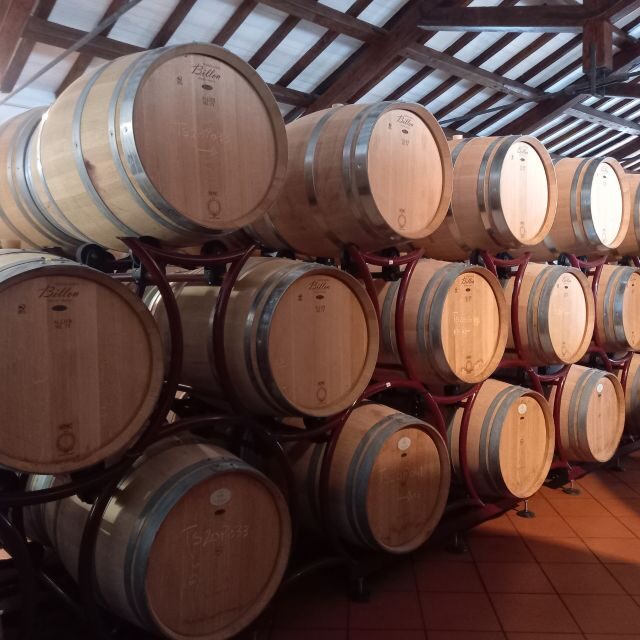 Venosa: Re Manfredi Winery Tour with Tastings - FAQs About the Re Manfredi Winery Tour