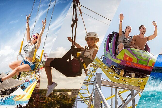 Ventura Dolphin - A Closer Look at the Ventura Dolphin Tour