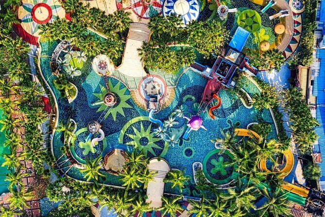 Ventura Dolphin - Who Should Consider This Tour?