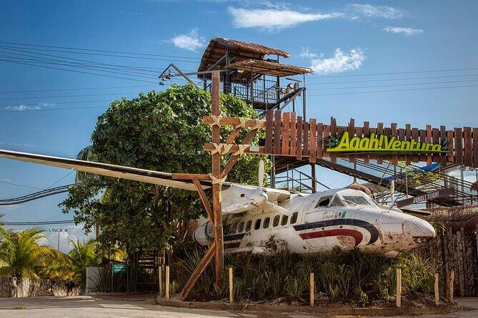 Ventura Dolphin - The Sum Up: Is It Worth It?