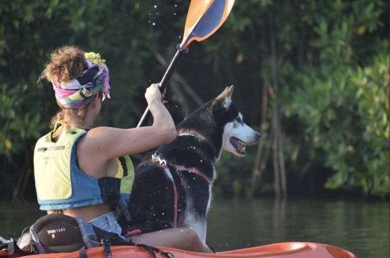 Veracruz, Kayak or Paddle equipment rentals in Mandinga - An Introduction to the Mandinga Water Adventure