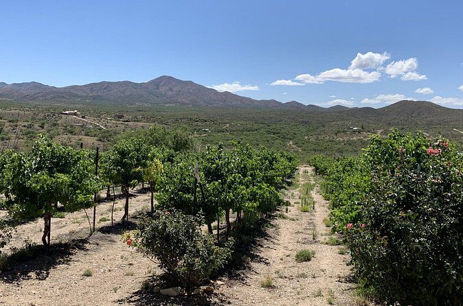 Verde Valley Wineries and Sedona Red Rocks Private Day Tour - Pricing and Value: Is It Worth It?
