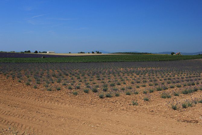 Verdon and Moustiers Ste-Marie Tour from Aix-en-Provence - Final Thoughts: Who Is This Tour Best For?