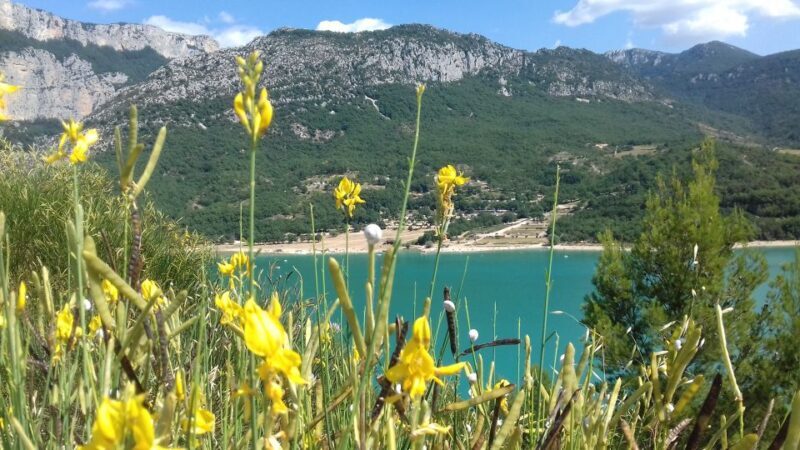 Verdon Gorge: The Grand canyon of Europe, Lake and Lavender - An In-Depth Look at the Verdon Gorge & Surroundings Tour