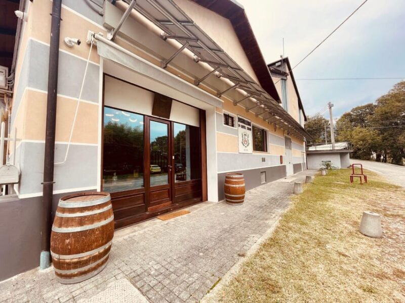 Vermouth and Spirits Tasting in a Distillery near Turin - A Closer Look at the Experience