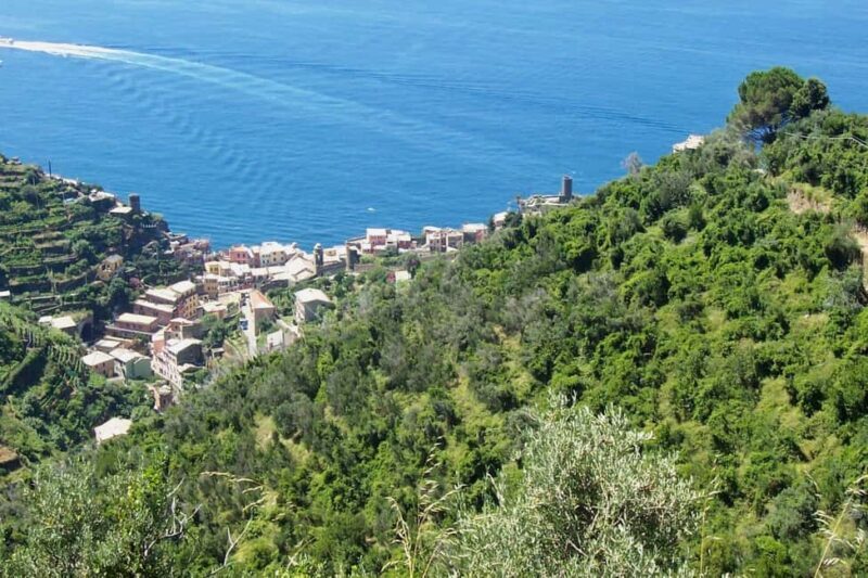 Vernazza (5 Terre): olive grove tour and oil and wine tasting - Exploring Vernazza’s Olive Grove and Scenic Trails: A Detailed Review of the 5 Terre Tour