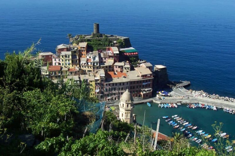 Vernazza (5 Terre): olive grove tour and oil and wine tasting - An Authentic Introduction to Vernazza and the Cinque Terre