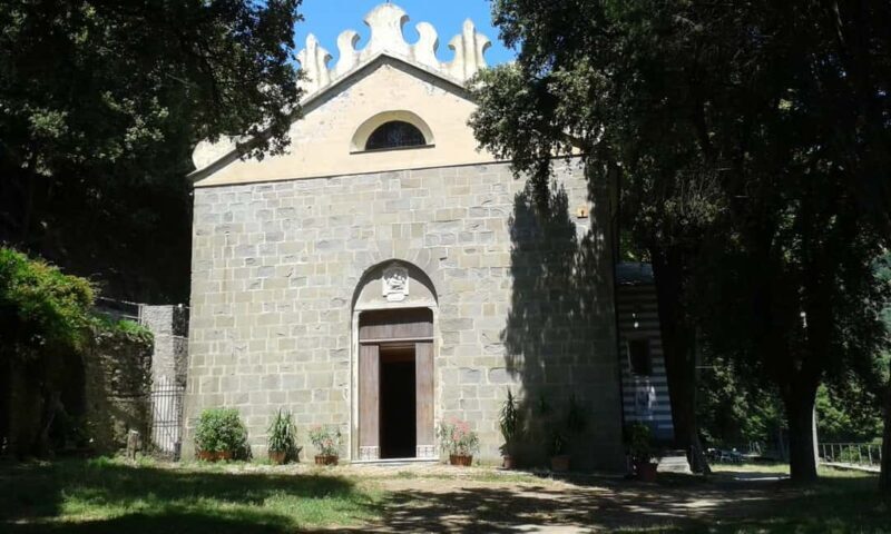 Vernazza (5 Terre): olive grove tour and oil and wine tasting - The Overall Experience