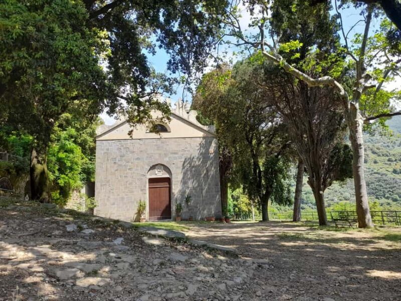 Vernazza (5 Terre): olive grove tour and oil and wine tasting - FAQ