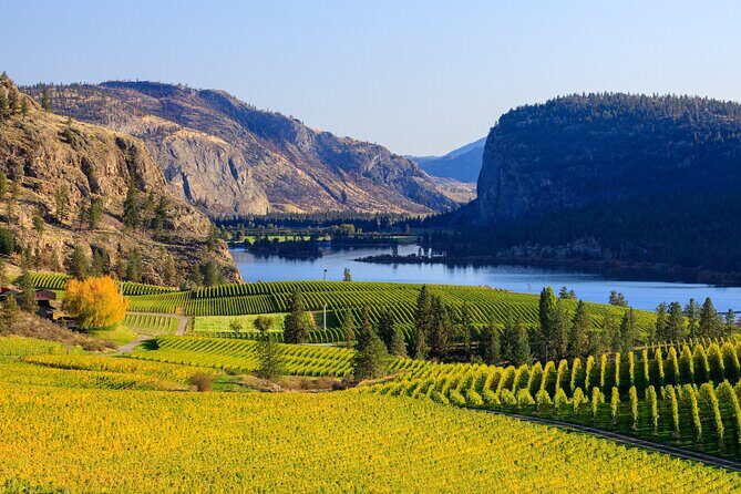 Vernon Private Wine & Boat Tour on Okanagan Lake - Vernon Private Wine & Boat Tour on Okanagan Lake: A Detailed Look