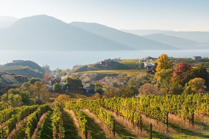 Vernon Private Wine & Boat Tour on Okanagan Lake - Final Thoughts: Who Should Consider This Tour?