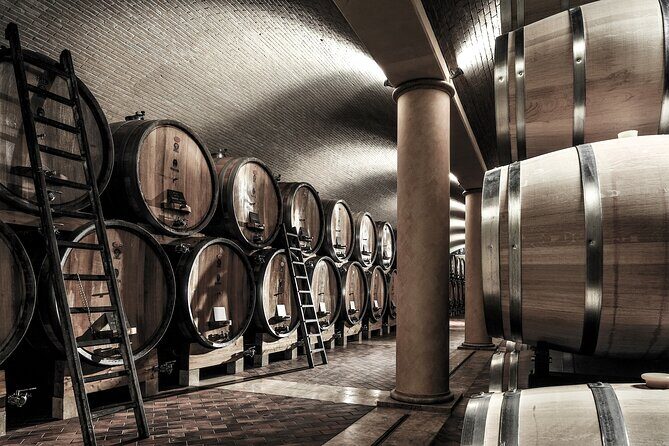 Verona area: Wine Tasting Experience in Valpolicella - What the Tour Involves