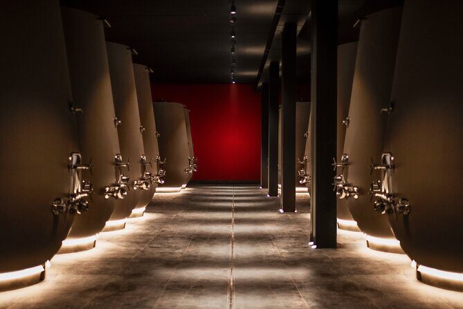 Verona area: Wine Tasting Experience in Valpolicella - Practical Considerations