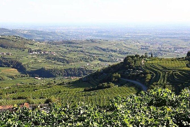 Verona art city, Valpolicella wine tasting full day private tour - Wine Tasting: A Toast to Italy