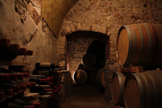 Verona - Cellar Tour and Tasting of NATURAL WINES - Why We Think This Tour is Great Value