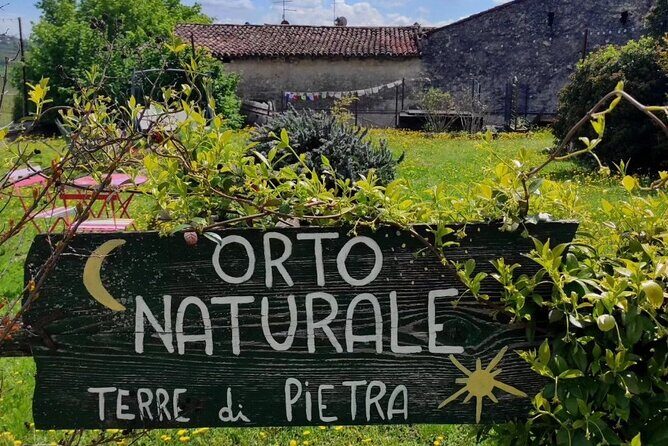 Verona - Cellar Tour and Tasting of NATURAL WINES - Who Will Love This Tour?